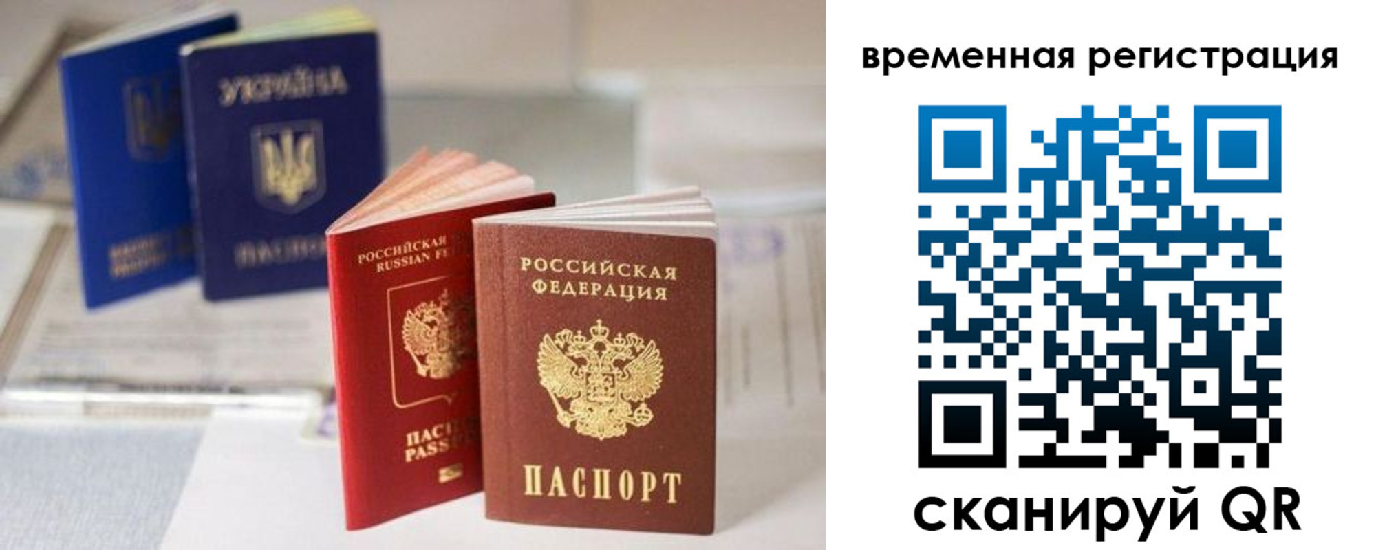прописка поиск в Ртищево